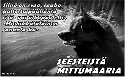 mittumaari, koira, Miehikkl, kuva: Martti Linna